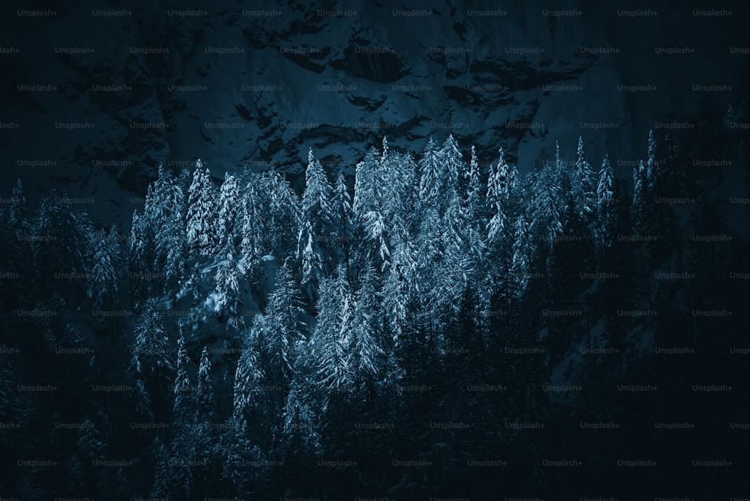 https://static.ws.126.net/163/frontend/images/2022/empty.png